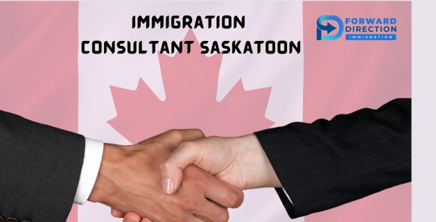 How an Immigration Consultant Saskatoon Can Help You